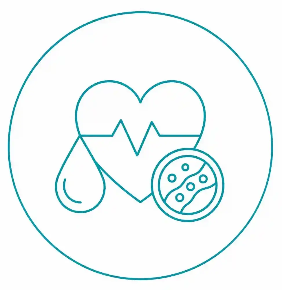 Icono de orientación nutricional para colesterol y triglicéridos altos en Palma de Mallorca