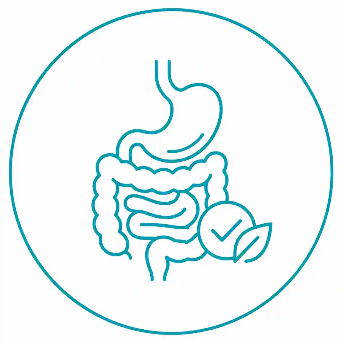 Icono de salud digestiva en Global Clinics, Palma de Mallorca